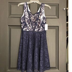 Taylor Lace Skater Dress
